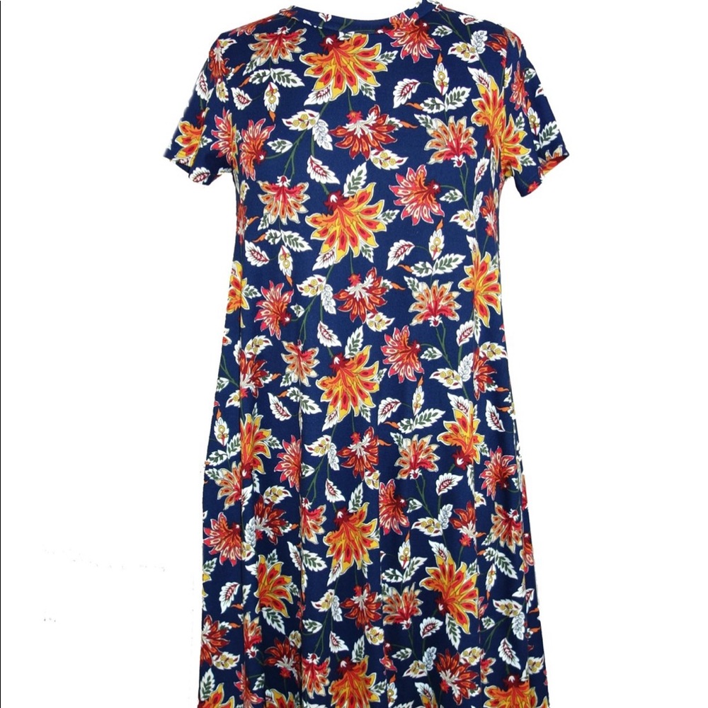 Piphany / Honey and Lace Napa Dress